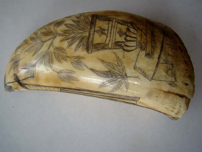 A 19th century scrimshawed whale's tooth featuring American Naval hero Commodore Stephen Decatur (1779-1820) circa 1845 — image 5